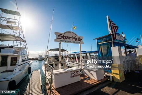 199 Lahaina Harbor Stock Photos, High-Res Pictures, and Images - Getty ...