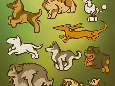 Various Dog Breeds, Animated by Yulia Tein on Dribbble