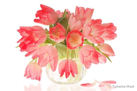 "Pink Tulips in Vase" by Catherine Wood | Redbubble