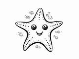 Starfish Coloring Activity  Page sketch template