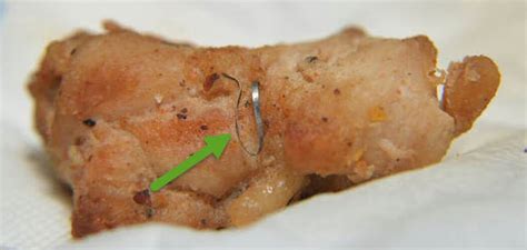 How to Control Physical Hazards - Food Science Toolbox