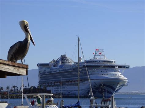 a pelican sitting on a dock next to a cruise ship