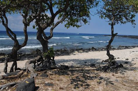 Pine Trees Beach, Big Island | To-Hawaii.com