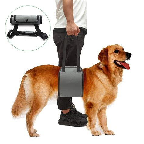 Amerteer Dog Sling with Handle for Canine Aid, Veterinarian Approved ...