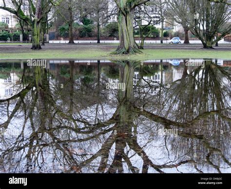 flood in Hamburg Stock Photo - Alamy