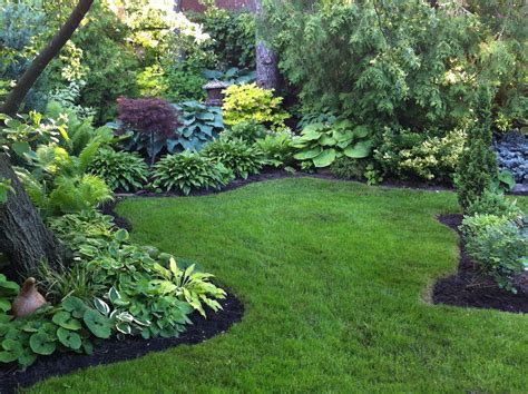 Best Landscape Plants For Full Shade at Lisa Gray blog