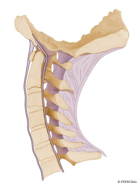 Figure 30 | PEERClinic