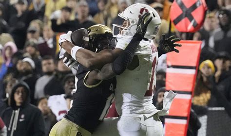 Canadian Elic Ayomanor makes NCAA catch of the year, sets Stanford ...