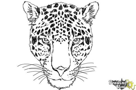 Cheetah Drawing Easy : How to draw a Cheetah quick & easy (Drawing ...