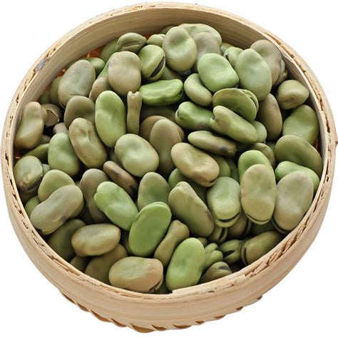 Big size dried broad beans fava beans for sale,China price supplier - 21food