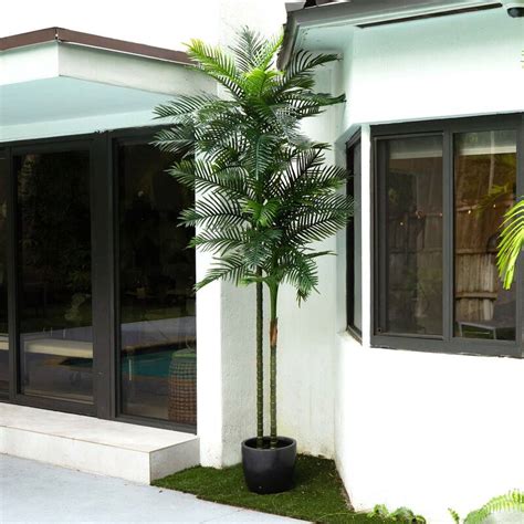 10' UV Resistant Double Robellini Palm Tree (Indoor/Outdoor) - Green ...