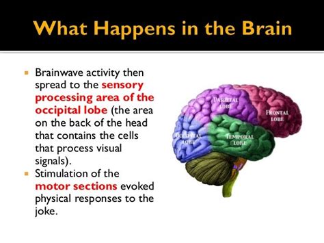 Laughter and the brain