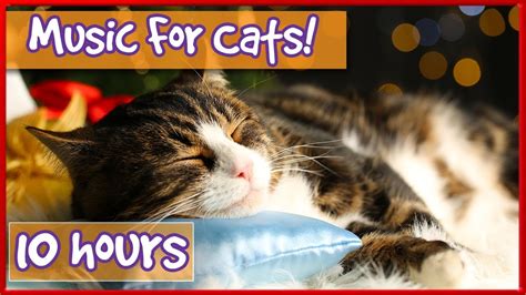 Pet Therapy Music : Cat Music with Nature Sounds, Purring, Bird Noises To Relax and Calm Kittens ...