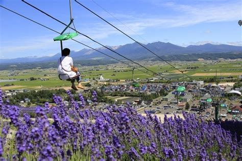 Lavender Season in Hokkaido 2025 | Visit Furano | Kyuhoshi