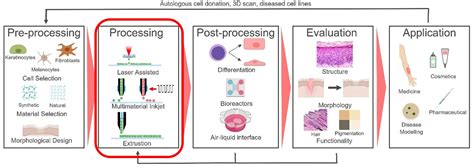 What is Bioprinting – Part 3 of 6: Bioprinting Techniques