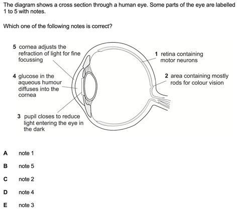 Human eye anatomy Imat 2021 Q 38 - Practice Question Solving - EnterMedSchool - Future Doctors ...