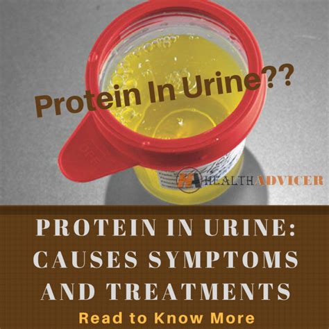 Protein In Urine : Causes, Picture, Symptoms and Treatment