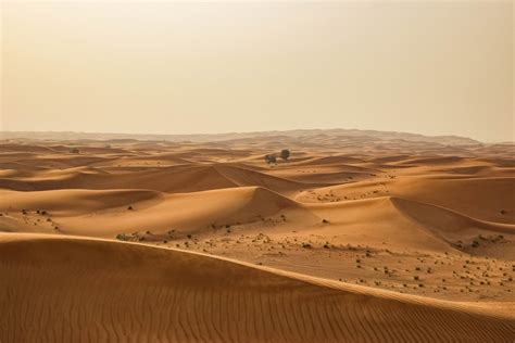 artistic sand dunes in the desert of united arab emirates, artsy sand ...