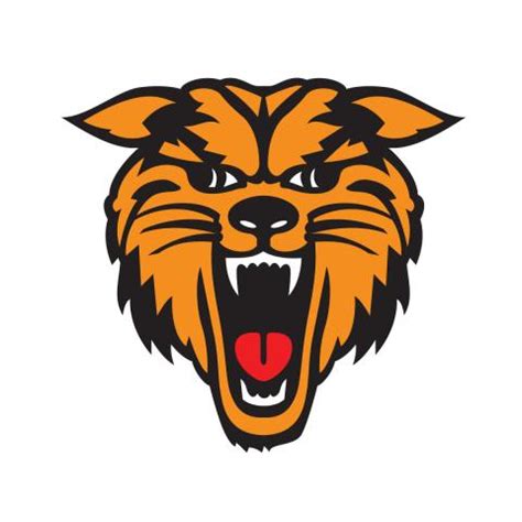 New Bloomfield Wildcats | MascotDB.com