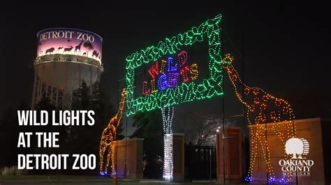 Experience the Detroit Zoo Wild Lights in Oakland County – Oakland County Blog