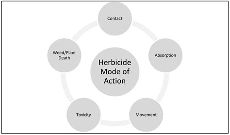 Take Action Herbicide Chart - Best Picture Of Chart Anyimage.Org