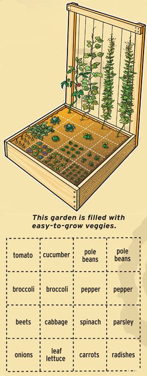 Square Foot Gardening Layout Ideas - all about hobby