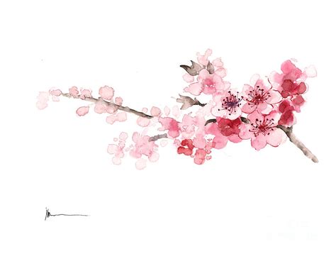 Cherry Blossom Art Print Watercolor Painting Painting by Joanna Szmerdt