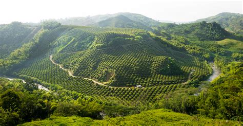 Cross-Country Colombia: Coffee Farmers, Mountains & Medellin