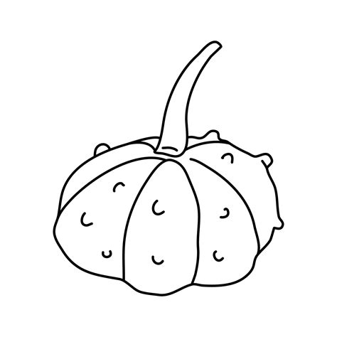 Warty or pimpled gourd in doodle style. Isolated outline. Hand drawn ...