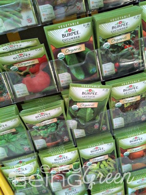 The Importance of Buying Organic Plants and Seeds