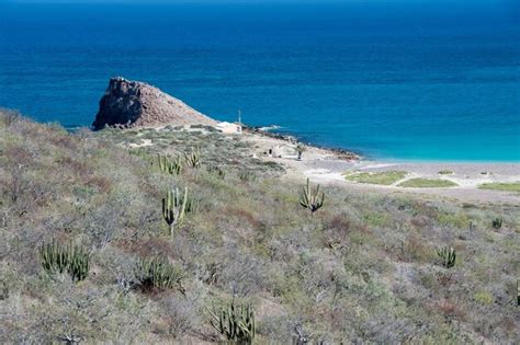 Premium Photo | Cabo pulmo baja california national park panorama