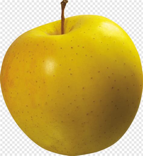 Apple, White Apple Logo, Hd, Bitten Apple, Apple Logo, Apple Juice #500309 - Free Icon Library
