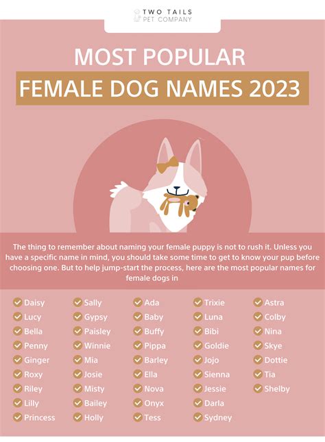 What Are The Best Dog Names