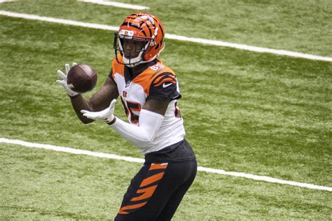 NFL Highlights: WATCH Bengals WR Tee Higgins makes spectacular grab vs ...