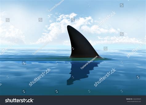 Shark Fin Above Water Stock Illustration 232245925 | Shutterstock