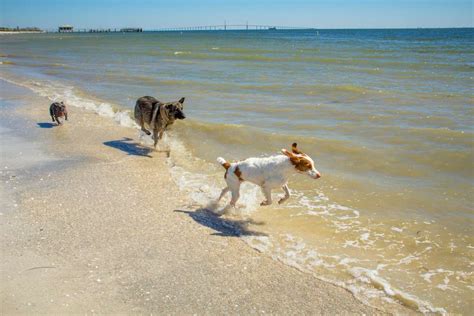 Top 10 Tampa Bay Area Beaches