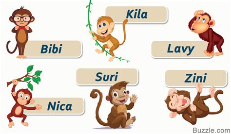 Cute and Funny Pet Monkey Names You'll Want to Steal Right Now