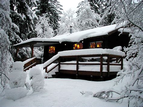 Betsy's Cabins at Mt Rainier - Mt. Rainier Business Alliance