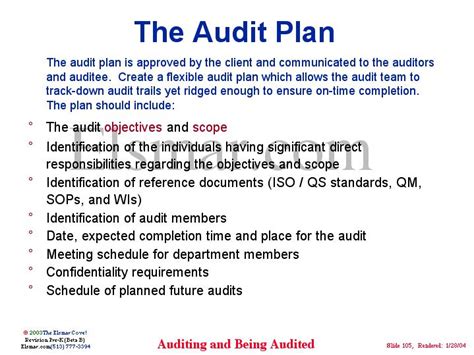 The Audit Plan