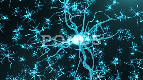 Neuron Synapse Animation