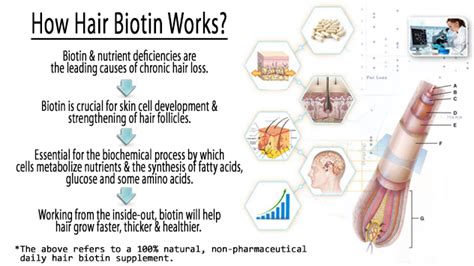 Biotin- Is Your Biotin Supplement Effective?