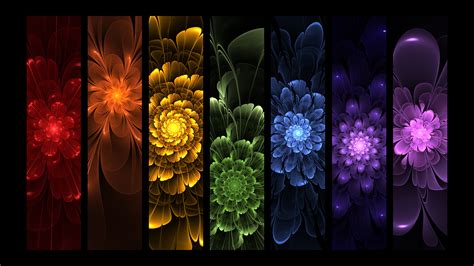 Rainbow Flowers wallpaper | 1920x1080 | #66626