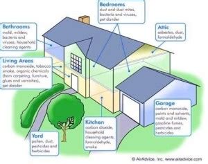 clean air house diagram | Anatomy System - Human Body Anatomy diagram and chart images