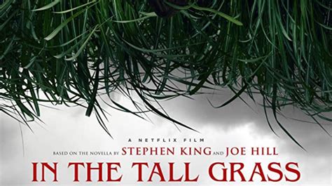 in the tall grass book explained - Albertina Steed