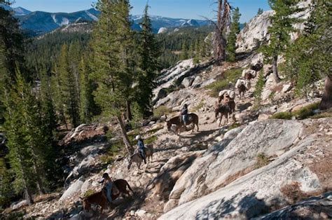 Yosemite's High Sierra Loop Trail: Trail Segment 3: May Lake to Sunrise ...