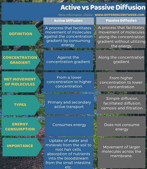 Difference Between Active and Passive Diffusion | Compare the Difference Between Similar Terms