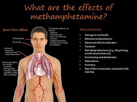 Methamphetamine Effects