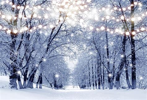 Winter Snow Photography Backdrops Christmas Background Backdrops Forest Trees Snowflake Props ...