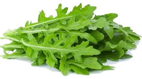 Arugula vs. Spinach: Nutrition and Health Benefits - Homes Pursuit