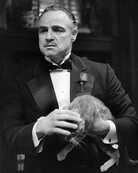 Vito Corleone | Marlon brando, Poderoso chefão, The godfather